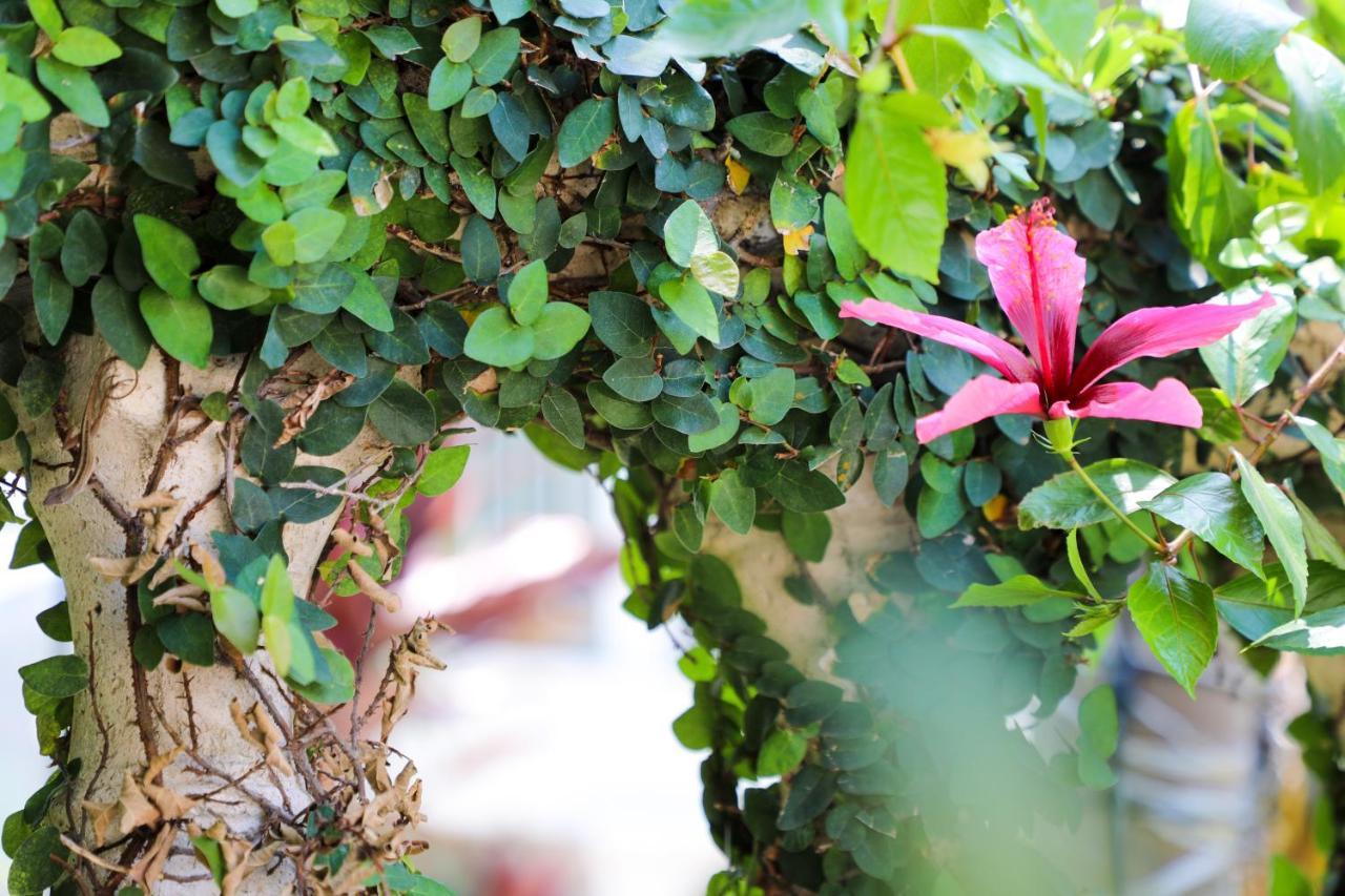Almond Tree Inn - Adults Only Key West Luaran gambar