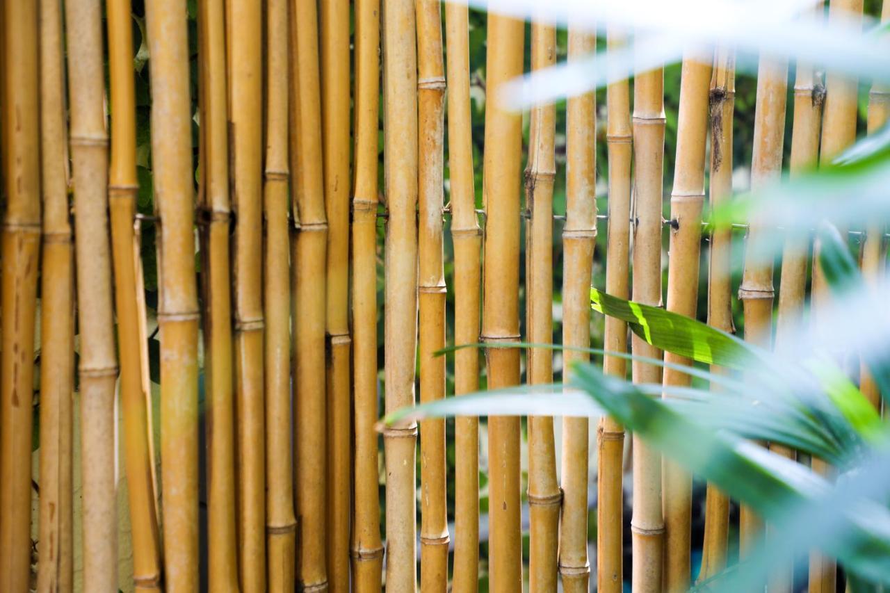 Almond Tree Inn - Adults Only Key West Luaran gambar