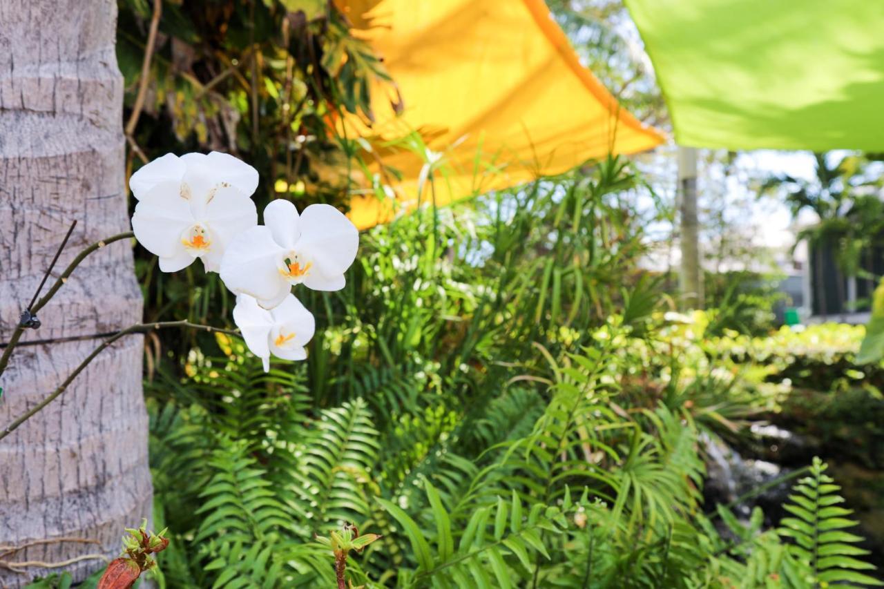 Almond Tree Inn - Adults Only Key West Luaran gambar